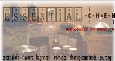 essential chemical inc